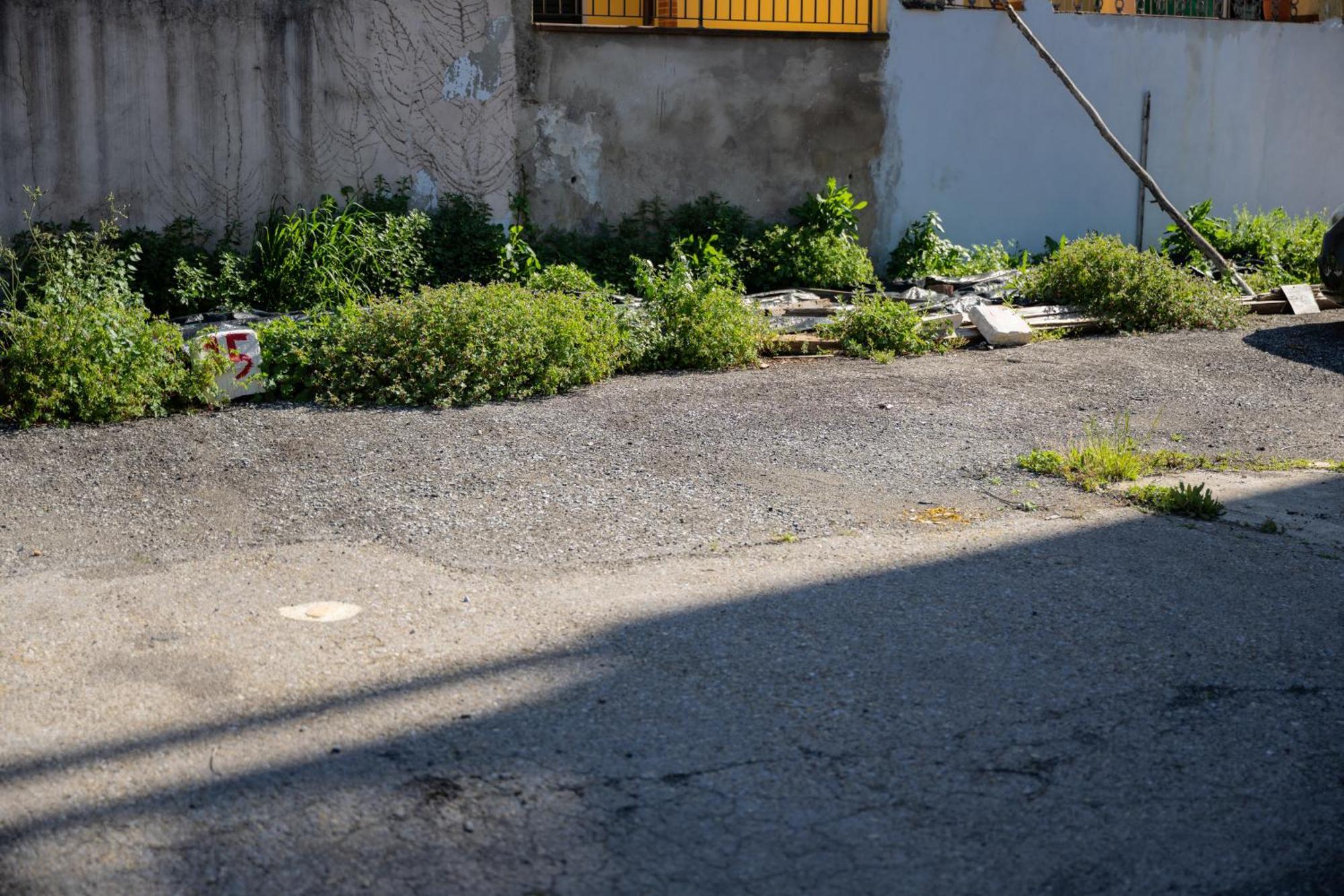 Tipica Cozy House + Parking! Apartman Firenze Kültér fotó